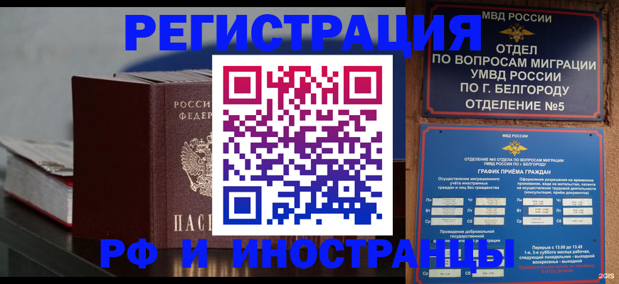 прописка 2025 в Ельне